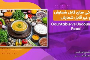 مثال برای اسامی قابل شمارش و غیر قابل شمارش همراه با تلفظ صحیح