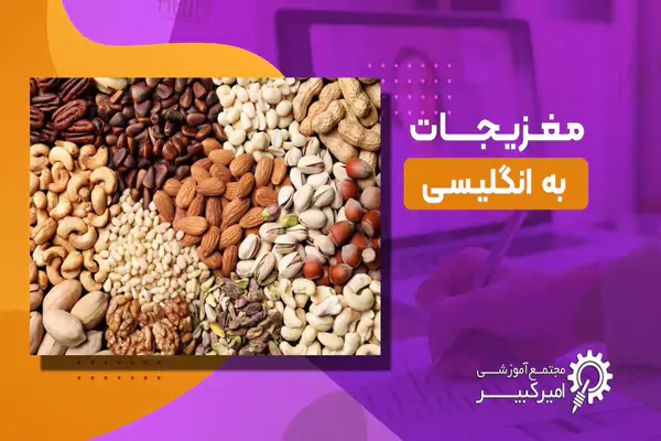 انواع آجیل و خشکبار به انگلیسی