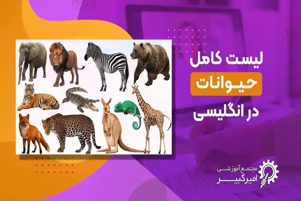 لیست کامل حیوانات به انگلیسی