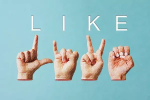کاربردها و معانی مختلف like