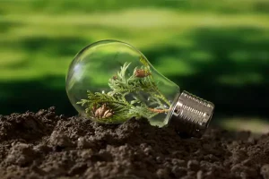 اصطلاحات محیط زیست به انگلیسی اصطلاحات محیط زیست به انگلیسی