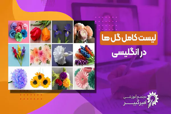 انواع گل به انگلیسی