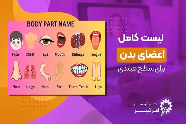 لیست کامل اعضای بدن