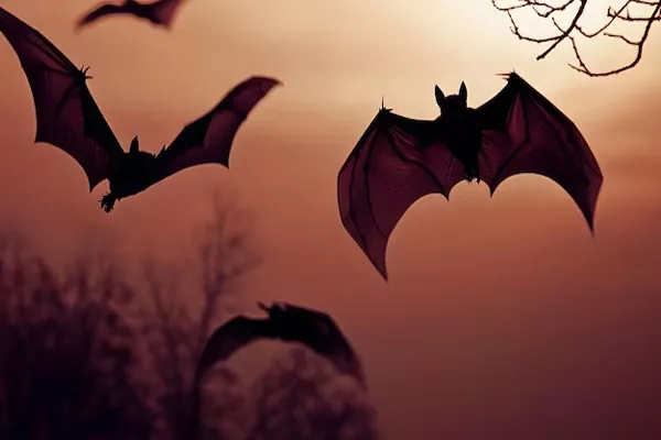 Are vampire bats dangerous