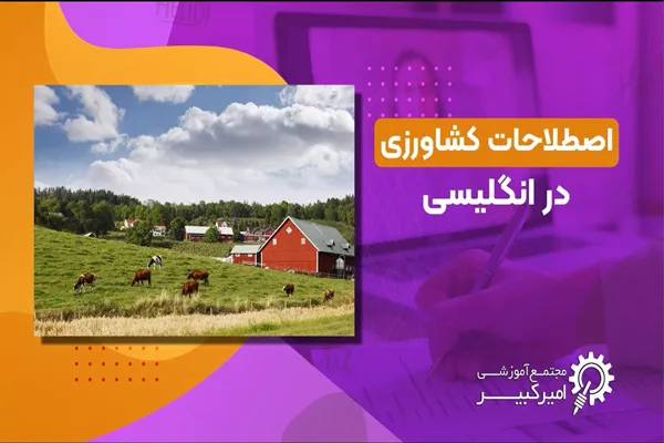 مزرعه داری و کشاورزی در انگلیسی