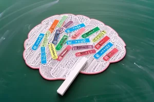The benefits of a bilingual brain