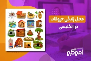 محل زندگی حیوانات در انگلیسی محل زندگی حیوانات در انگلیسی