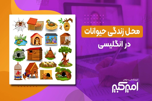 محل زندگی حیوانات در انگلیسی